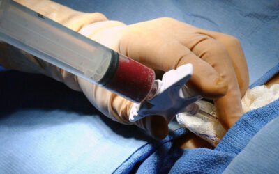 Semana de Mobilização Nacional para Doação de Medula Óssea promoverá engajamento e conscientização no Tecnopuc