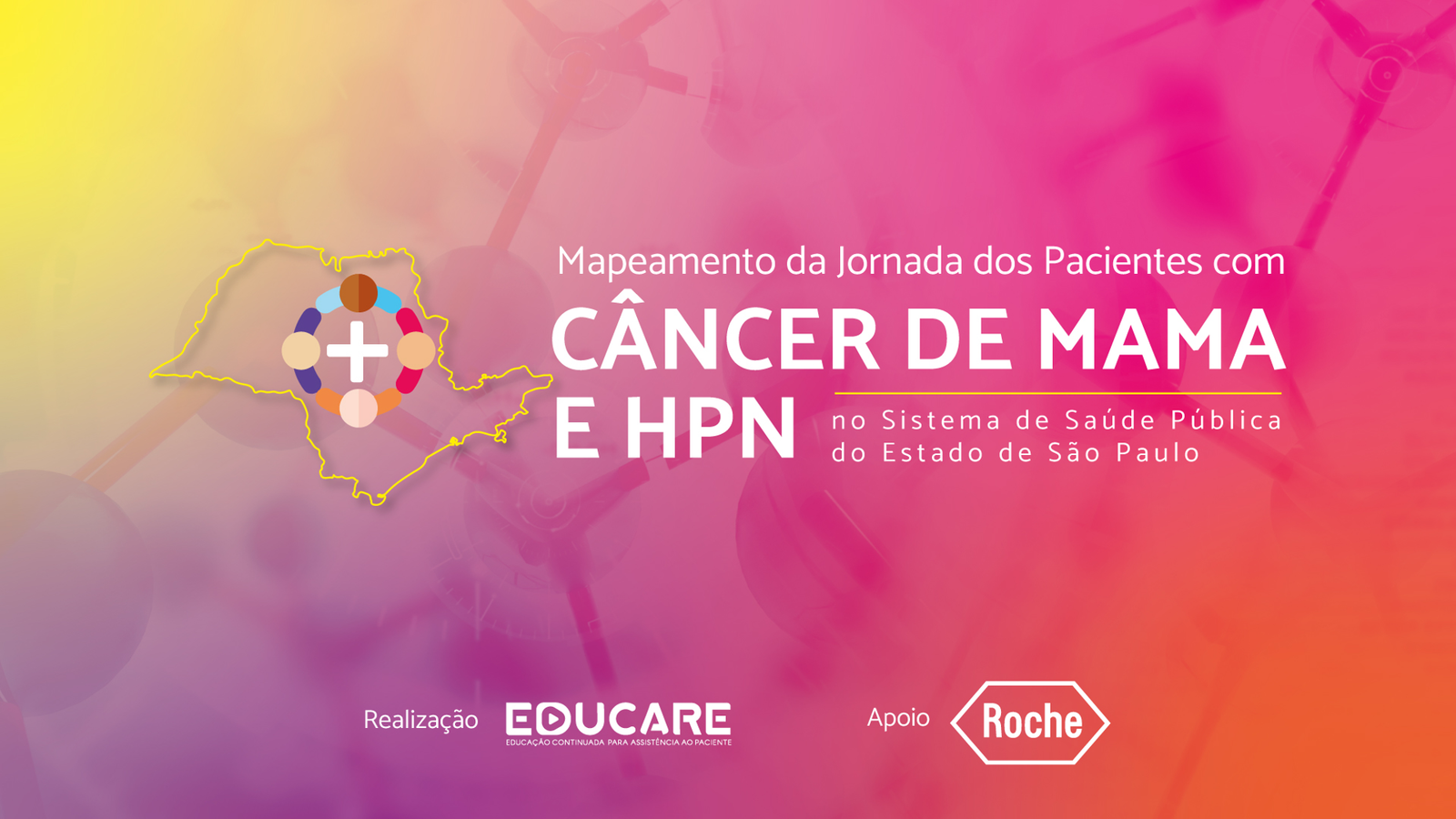 Mapeamento da Jornada dos Pacientes com HPN no Sistema de Saúde Publica do Estado de São Paulo